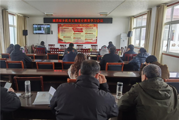 安徽省六安市霍邱縣城西湖鄉(xiāng)機關支部召開黨史學習教育會議