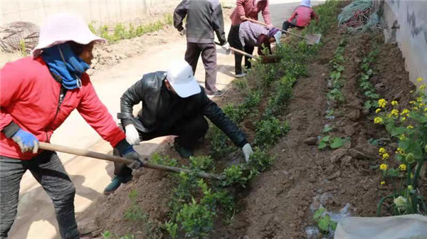 山東安丘經(jīng)濟(jì)開發(fā)區(qū)四項(xiàng)措施全力加快推進(jìn)省食安城復(fù)審和國(guó)家衛(wèi)生城創(chuàng)建工作